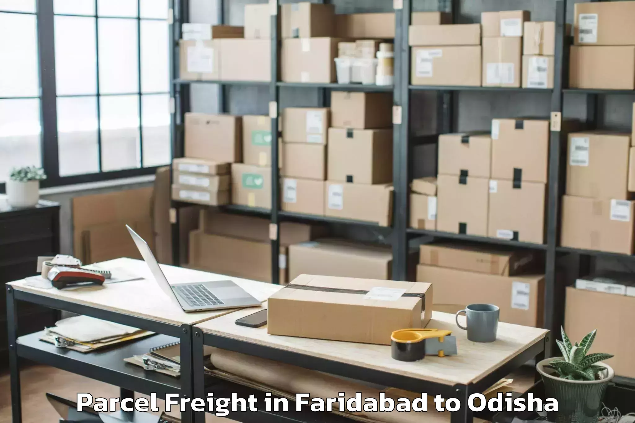 Book Faridabad to Phulbani Parcel Freight Online